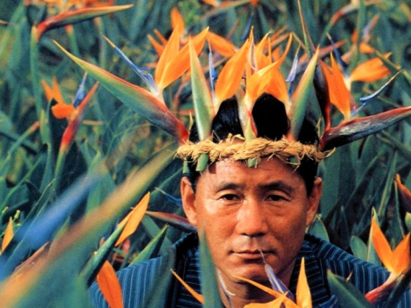 Film Club: Takeshi Kitano – Nora Inu