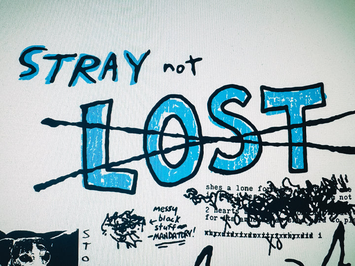 Stray Not Lost