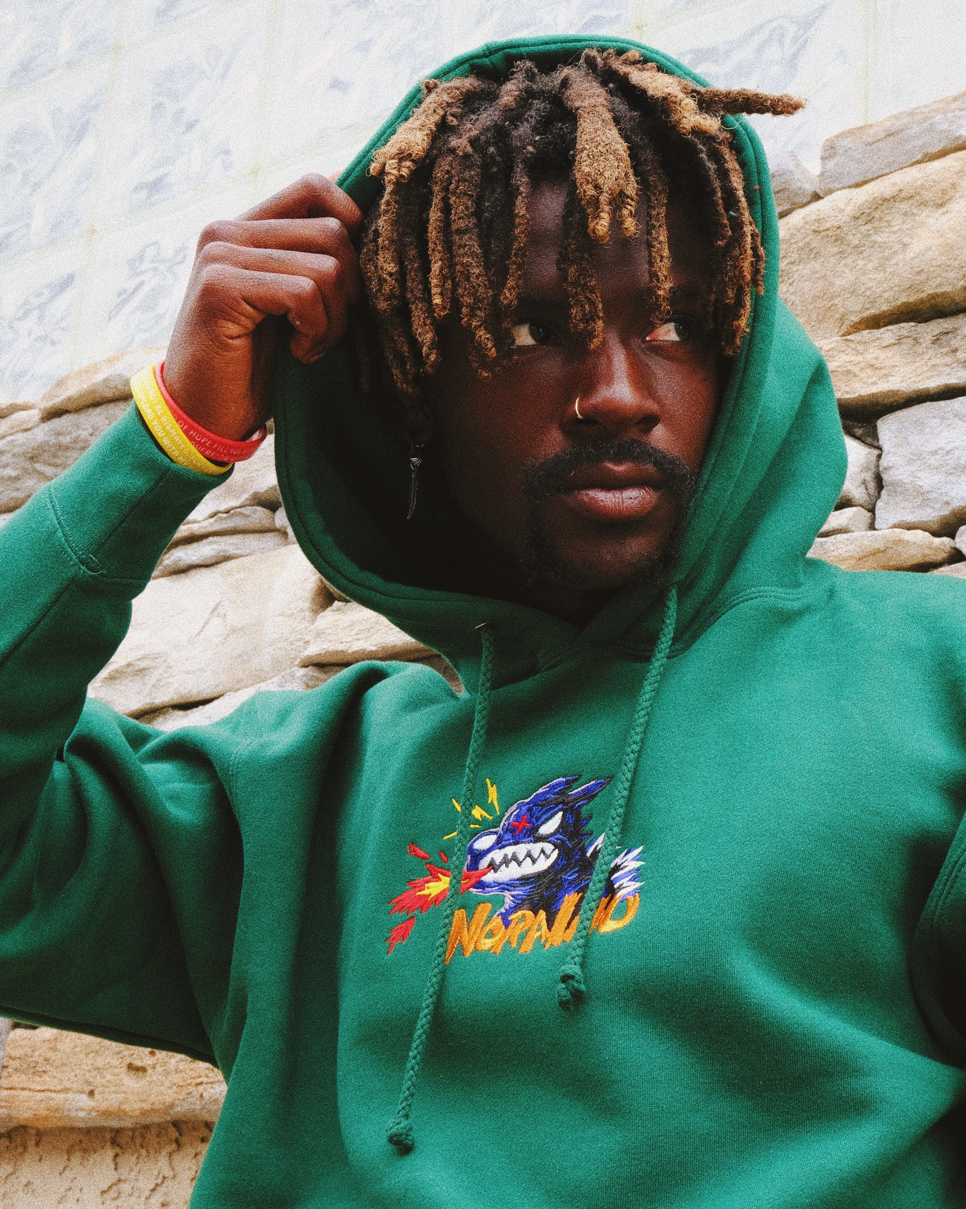 Kaiju Logo Hoodie – Nora Inu